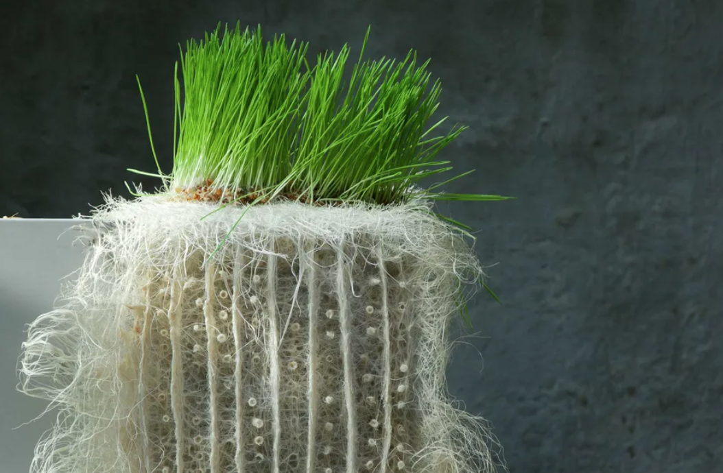 Screenshot 2025-02-28 at 12.02.08